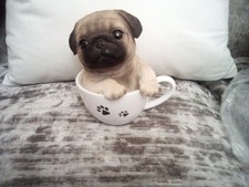 Cute Little Pug Dog In Cup