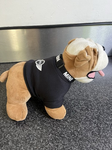 Mini teddy pug - teddy,