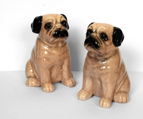 Pug dog novelty - dog,, salt