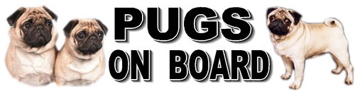Pugs board dog car sticker - pugs,