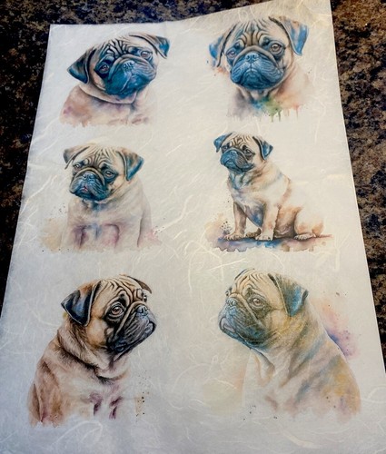 Rice paper for decoupage - for, pugs