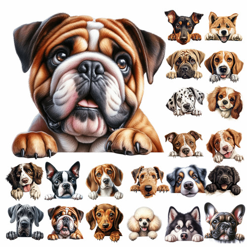 Puppy dog vinyl - vinyl, art