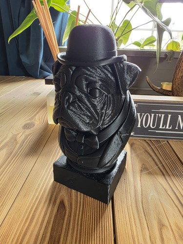 Pug dog gentleman - pug,