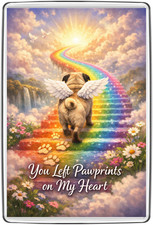 Rainbow Bridge Pug Angel