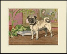 PUG CHARMING LITTLE DOG PRINT