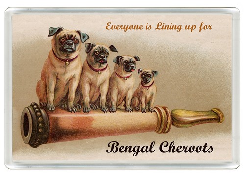 Pug dog fridge magnet - magnet, great