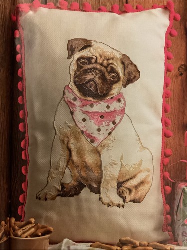 Pugs and kisses dog - pugs,