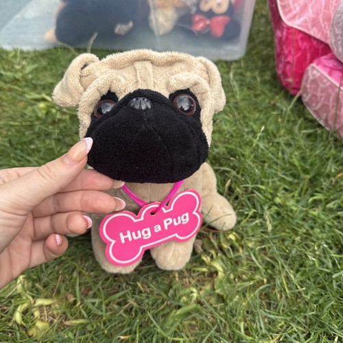 Hug pug teddy - teddy, soft