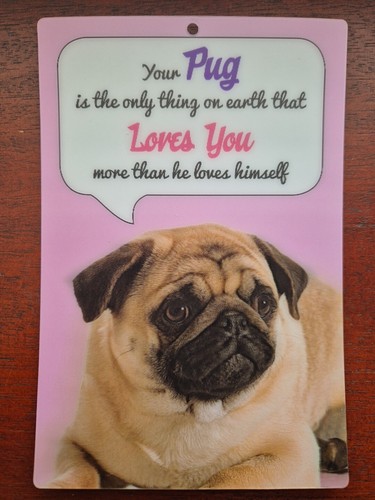 Fawn pug dog sign - sign, pugs