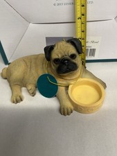 Leonardo Collection Fawn Pug
