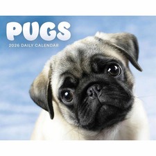 Pugs Desk Calendar 2026 - Dogs