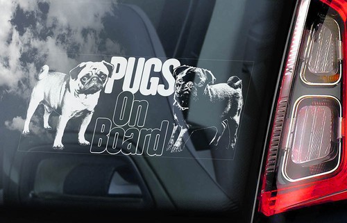 Pugs board car - on,